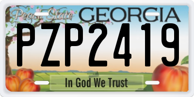 GA license plate PZP2419