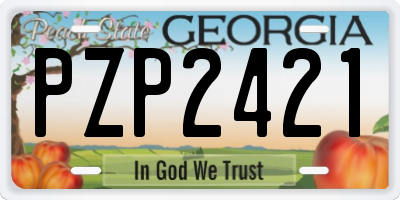 GA license plate PZP2421