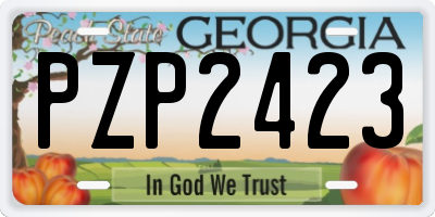 GA license plate PZP2423