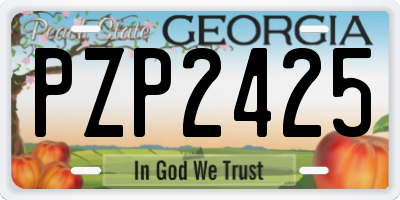 GA license plate PZP2425