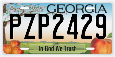 GA license plate PZP2429