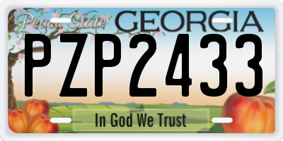 GA license plate PZP2433
