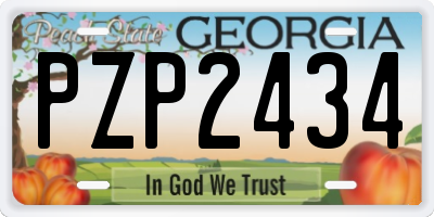 GA license plate PZP2434