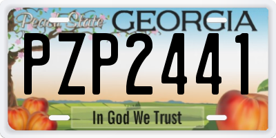 GA license plate PZP2441
