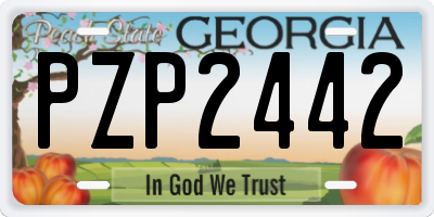 GA license plate PZP2442