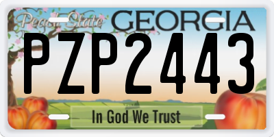 GA license plate PZP2443