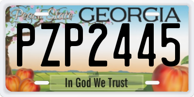 GA license plate PZP2445