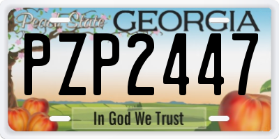GA license plate PZP2447