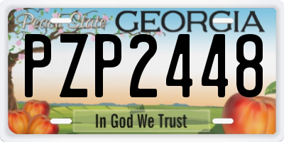 GA license plate PZP2448