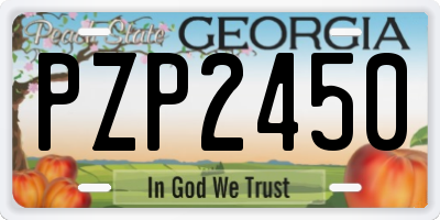 GA license plate PZP2450
