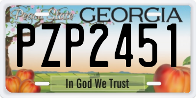 GA license plate PZP2451