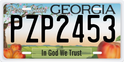 GA license plate PZP2453