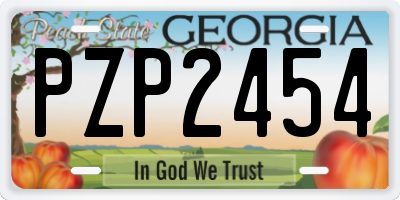 GA license plate PZP2454