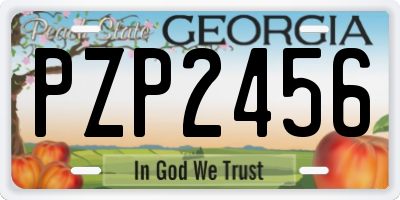 GA license plate PZP2456