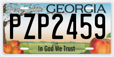 GA license plate PZP2459
