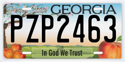 GA license plate PZP2463