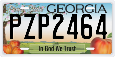 GA license plate PZP2464