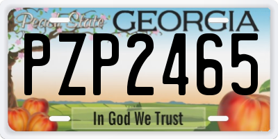 GA license plate PZP2465