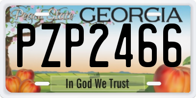 GA license plate PZP2466