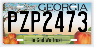GA license plate PZP2473