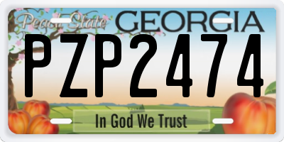 GA license plate PZP2474