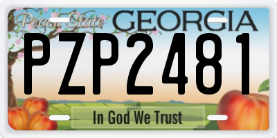 GA license plate PZP2481