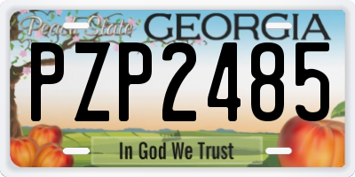 GA license plate PZP2485