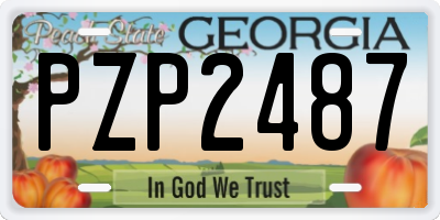 GA license plate PZP2487
