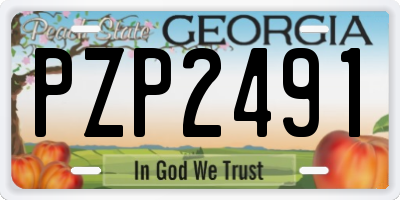 GA license plate PZP2491