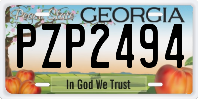GA license plate PZP2494