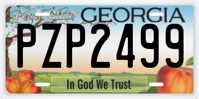 GA license plate PZP2499