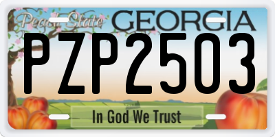 GA license plate PZP2503