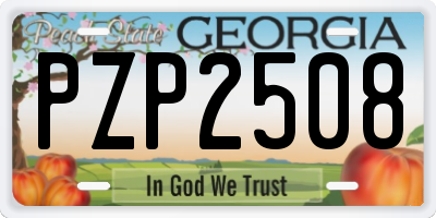 GA license plate PZP2508