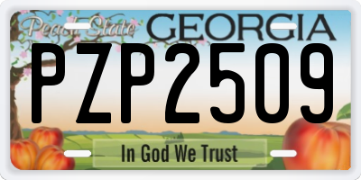 GA license plate PZP2509