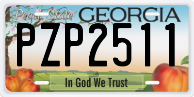 GA license plate PZP2511