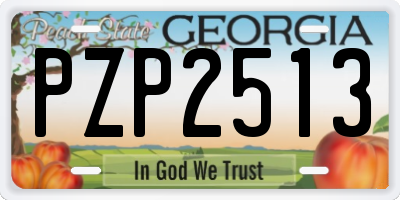 GA license plate PZP2513