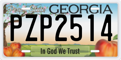 GA license plate PZP2514