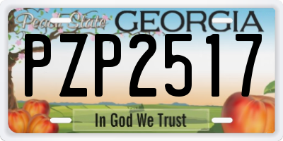 GA license plate PZP2517