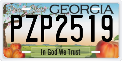 GA license plate PZP2519