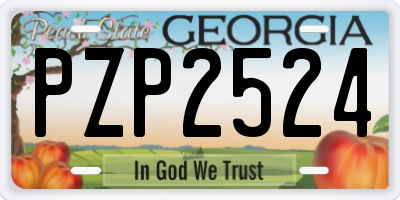 GA license plate PZP2524