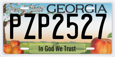 GA license plate PZP2527