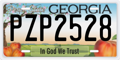 GA license plate PZP2528