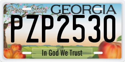 GA license plate PZP2530