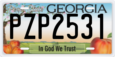 GA license plate PZP2531