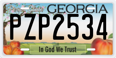GA license plate PZP2534