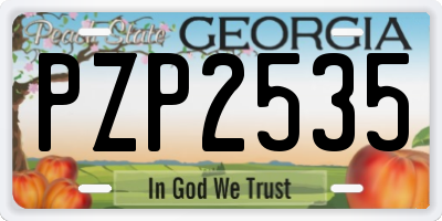 GA license plate PZP2535