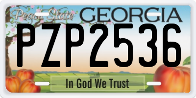 GA license plate PZP2536