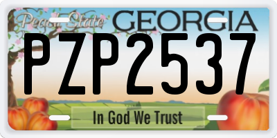 GA license plate PZP2537