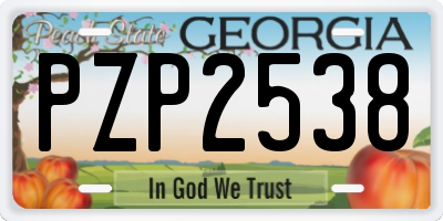 GA license plate PZP2538