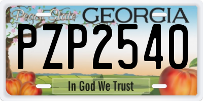 GA license plate PZP2540